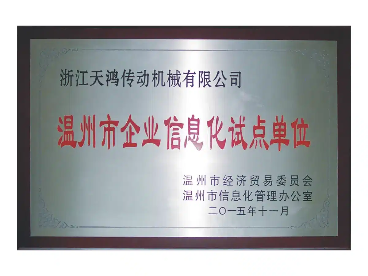 温州市企业信息化试点单位
